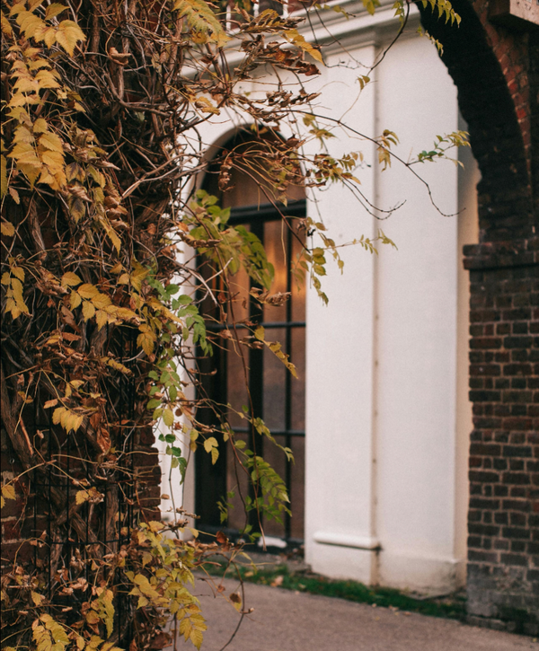 iron patio doors with glass opening to garden terrace