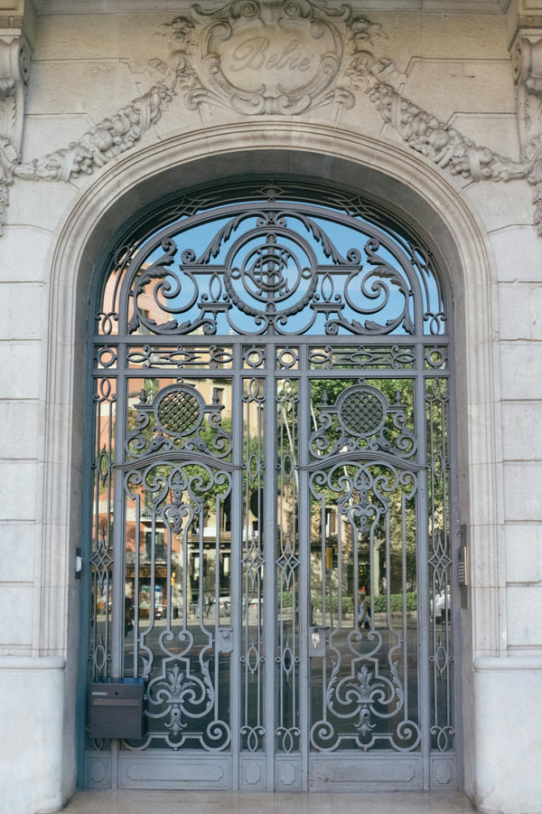 Ornate luxury iron double doors with transom and reflective glass
